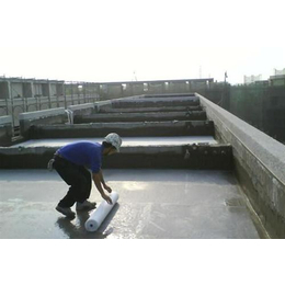 防水堵漏_无锡金霸建筑防水工程_防水堵漏公司_其他防水材料_第一枪